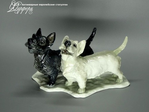 Купить фарфоровые статуэтки Rosenthal, Пара терьеров, Германия